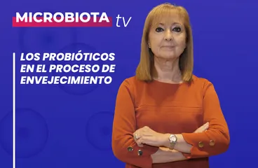../los-probioticos-y-el-envejecimiento